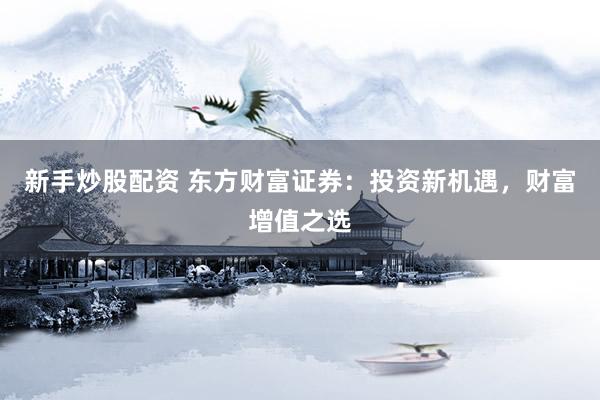 新手炒股配资 东方财富证券：投资新机遇，财富增值之选