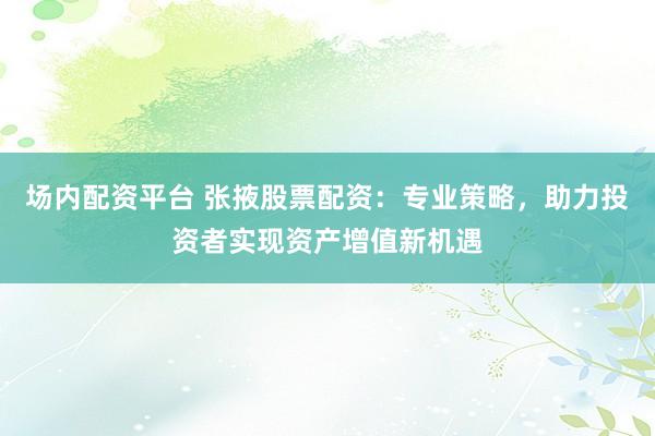 场内配资平台 张掖股票配资：专业策略，助力投资者实现资产增值新机遇