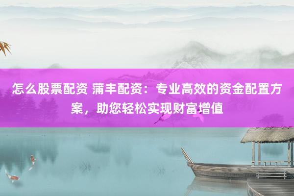 怎么股票配资 蒲丰配资：专业高效的资金配置方案，助您轻松实现财富增值