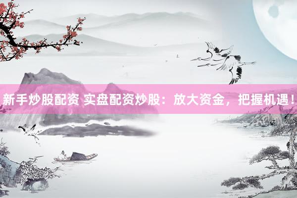 新手炒股配资 实盘配资炒股：放大资金，把握机遇！
