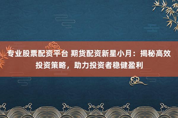 专业股票配资平台 期货配资新星小月：揭秘高效投资策略，助力投资者稳健盈利
