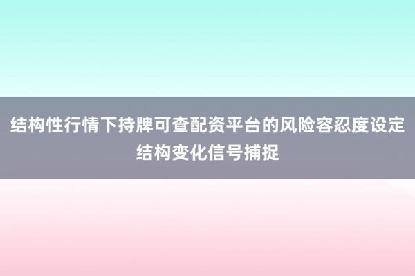 结构性行情下持牌可查配资平台的风险容忍度设定结构变化信号捕捉