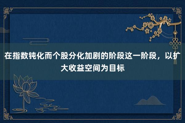 在指数钝化而个股分化加剧的阶段这一阶段，以扩大收益空间为目标
