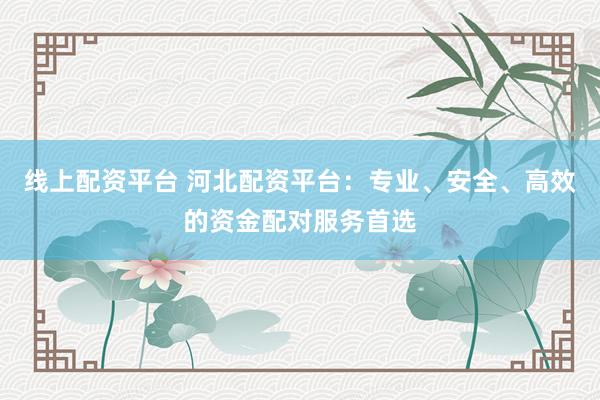 线上配资平台 河北配资平台：专业、安全、高效的资金配对服务首选