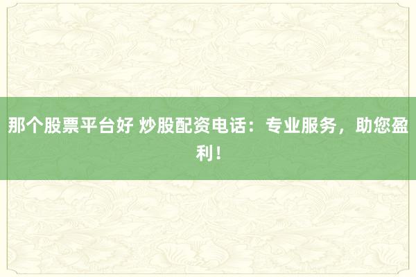 那个股票平台好 炒股配资电话:专业服务,助您盈利!
