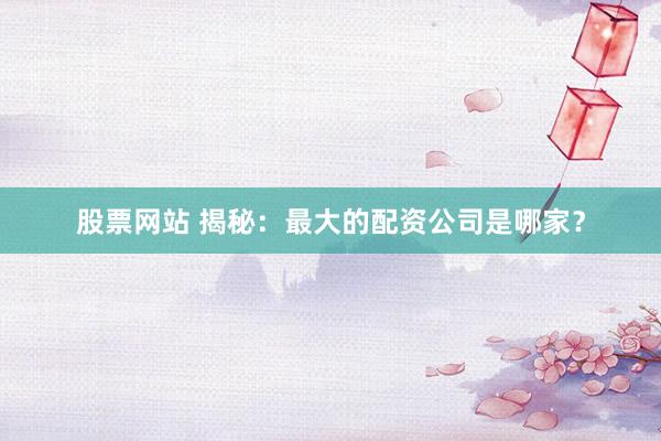 股票网站 揭秘：最大的配资公司是哪家？