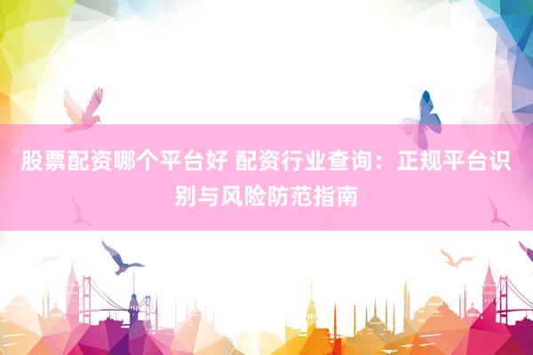股票配资哪个平台好 配资行业查询:正规平台识别与风险防范指南